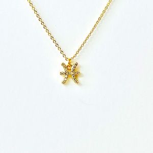 Dainty Micro Pave Zodiac Charm Necklace